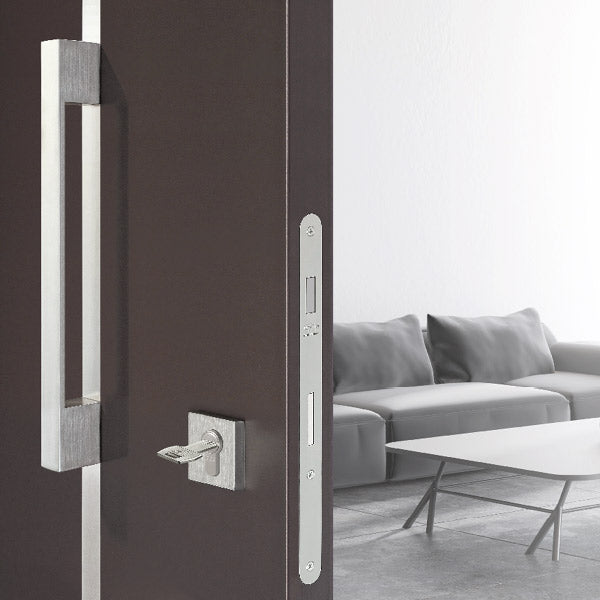 Opera XT installed on a brown door