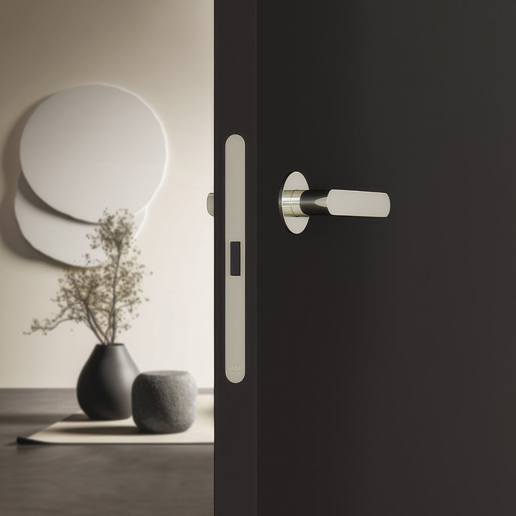 Close-up of Revolution XT installed on a black door