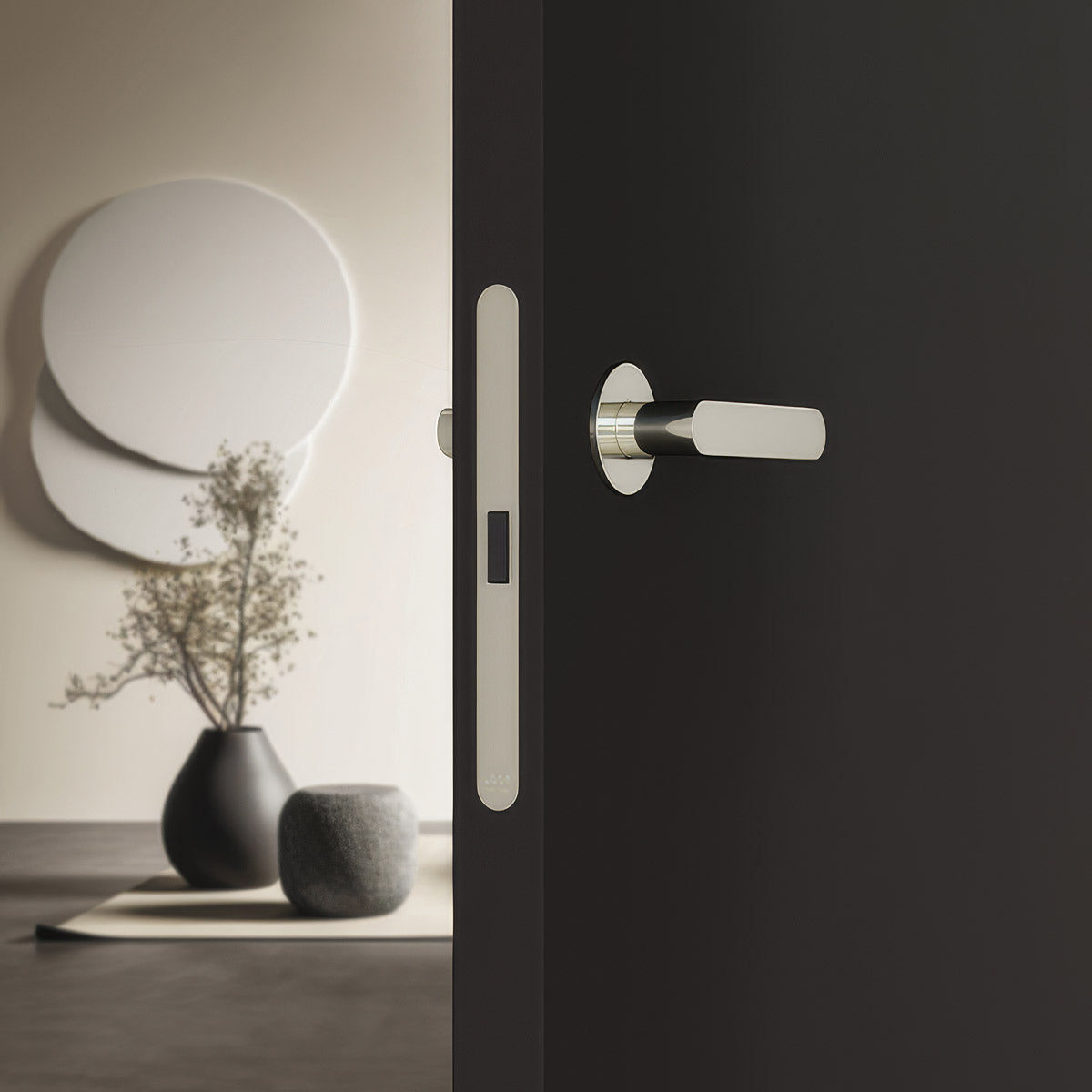 Close-up of Revolution XT installed on a black door