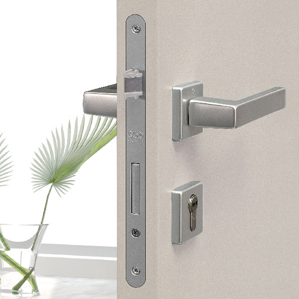 Close-up image of Sicurezza 2.0 installed on a beige door